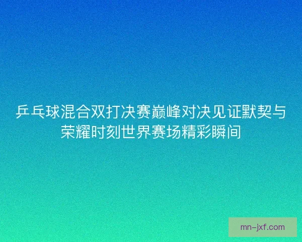 乒乓球混合双打决赛巅峰对决见证默契与荣耀时刻世界赛场精彩瞬间